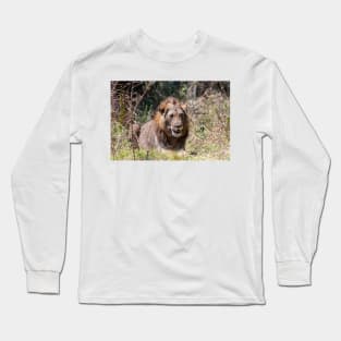 Smiling Lion Big Cat Showing His Teeth Long Sleeve T-Shirt